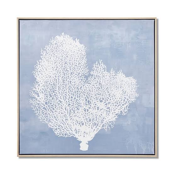 Framed - Blue Coral