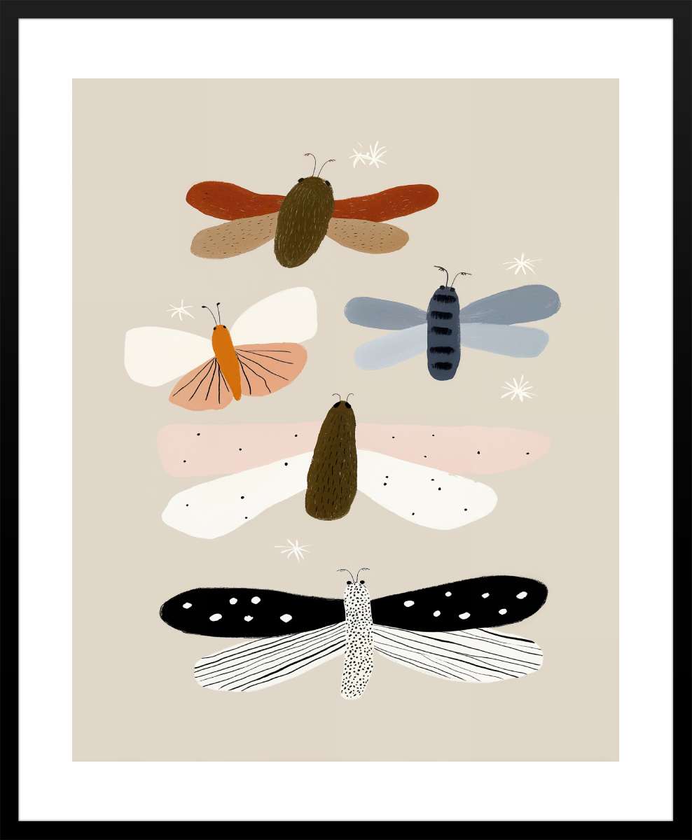 Black Frame with White Border