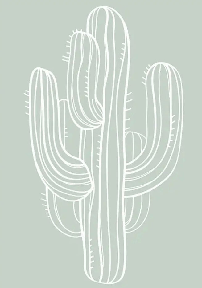 Framed Cactus Drawing - White and Sage