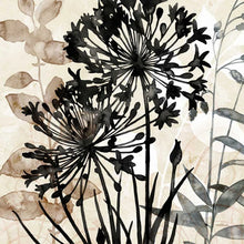 Load image into Gallery viewer, Framed Natural Botanical - Print B
