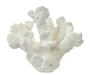 White tube Coral