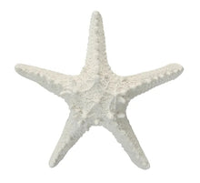 Load image into Gallery viewer, Hamptons Style Decor Starfish
