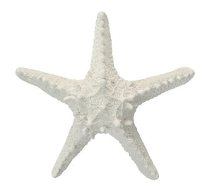 Hamptons Style Decor Starfish