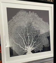 Load image into Gallery viewer, Framed Navy Coral - Print A
