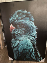 Load image into Gallery viewer, (HIRED) Framed Blue Teal Cockatoo Canvas
