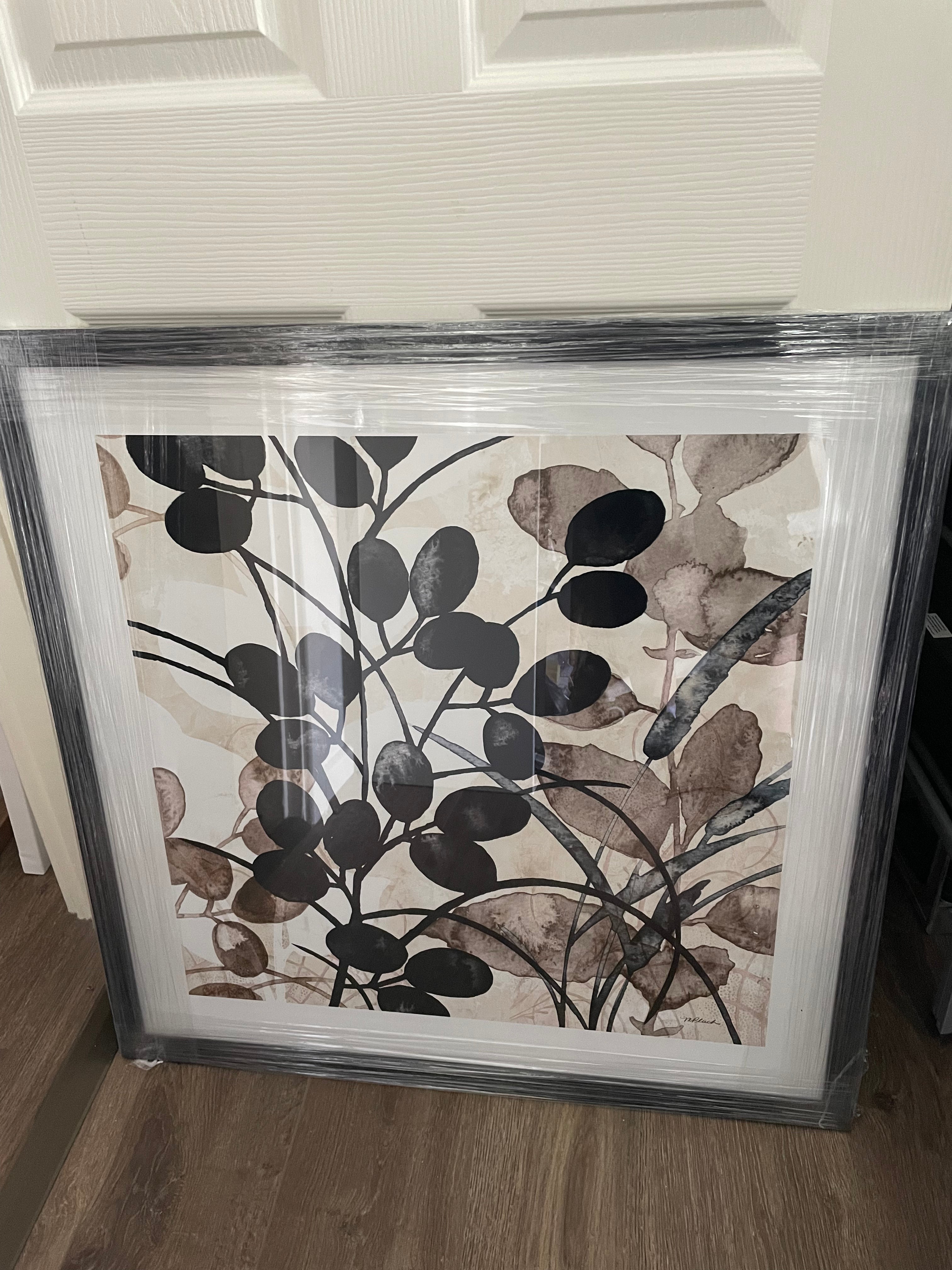 Framed Natural Botanical - Print A