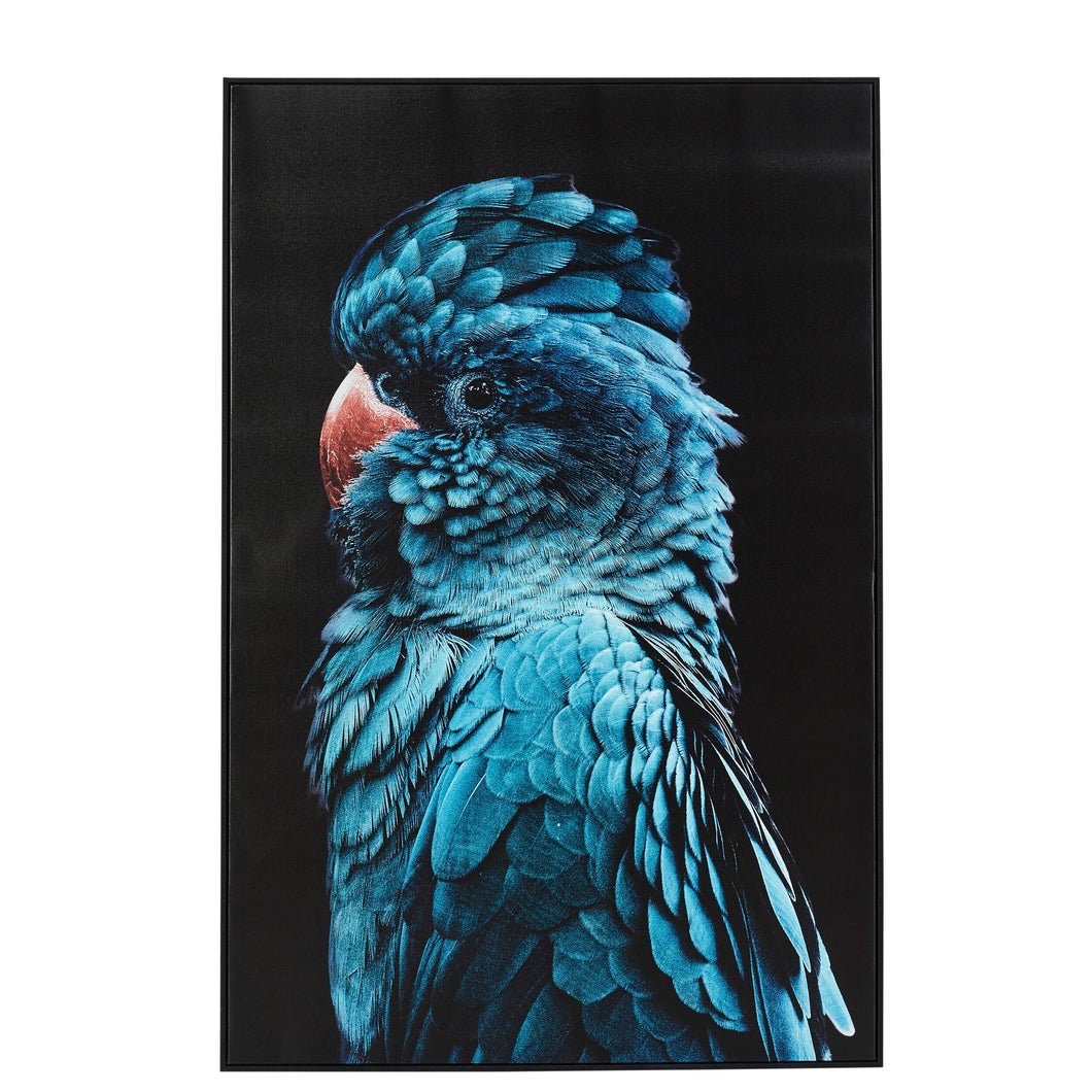 (HIRED) Framed Blue Teal Cockatoo Canvas