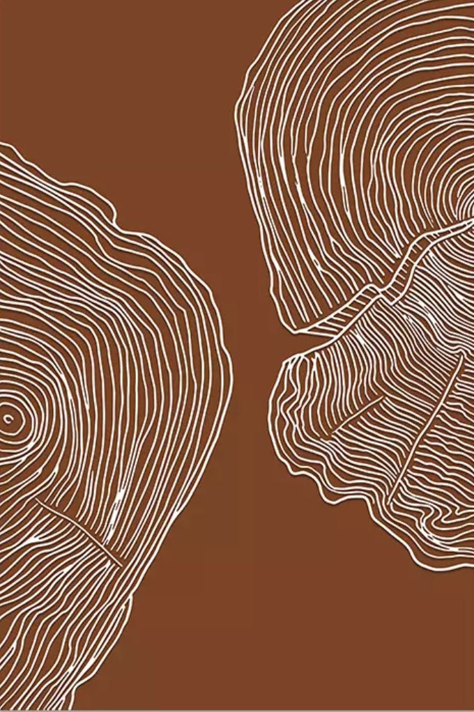 (HIRED) Framed Swirled Lines in Tan - Print A