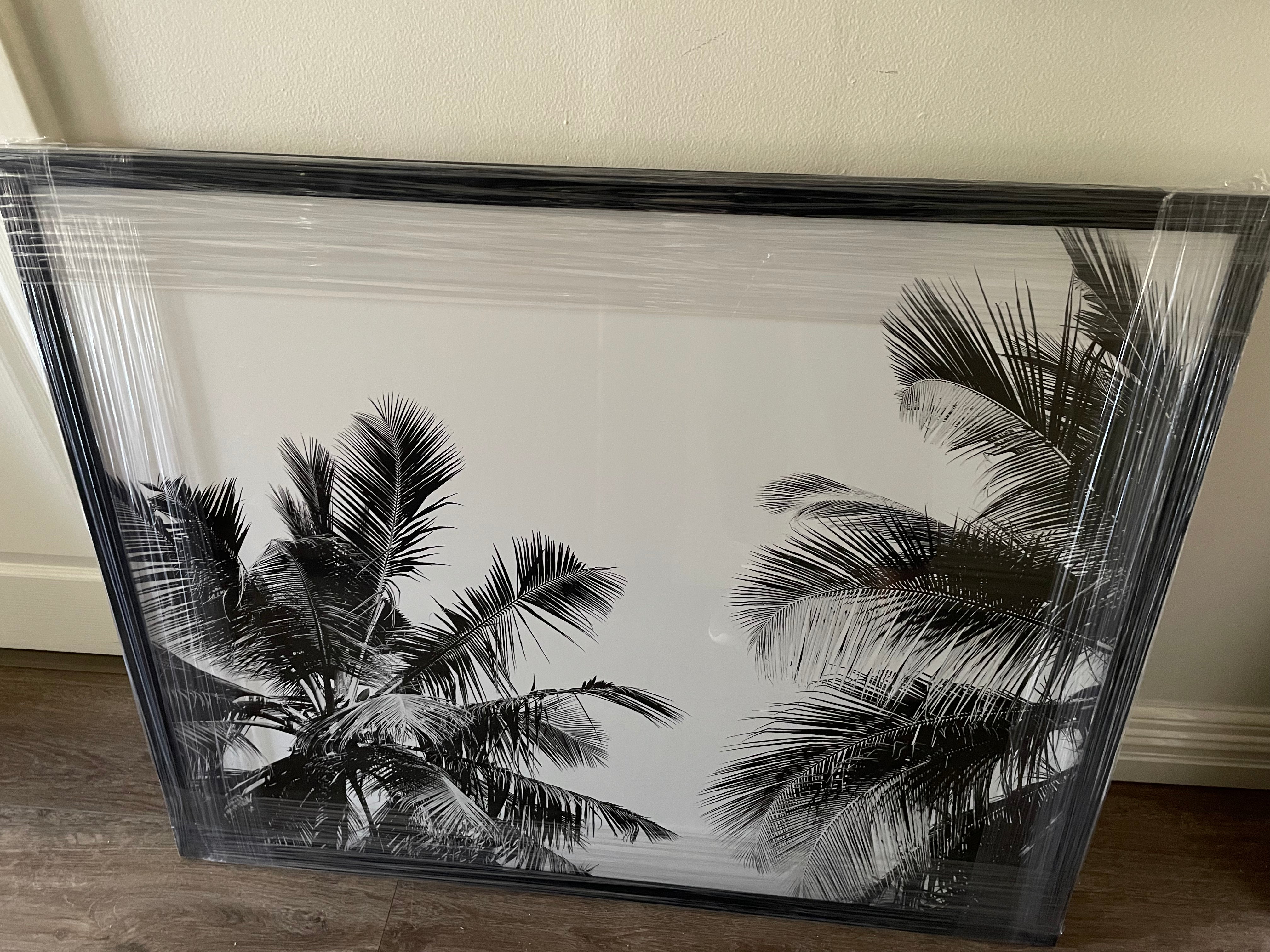 (HOLD) Framed - Moody Palms - Black & White