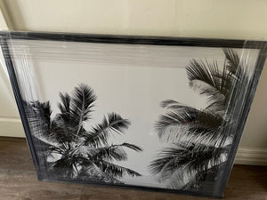 Framed - Moody Palms - Black & White