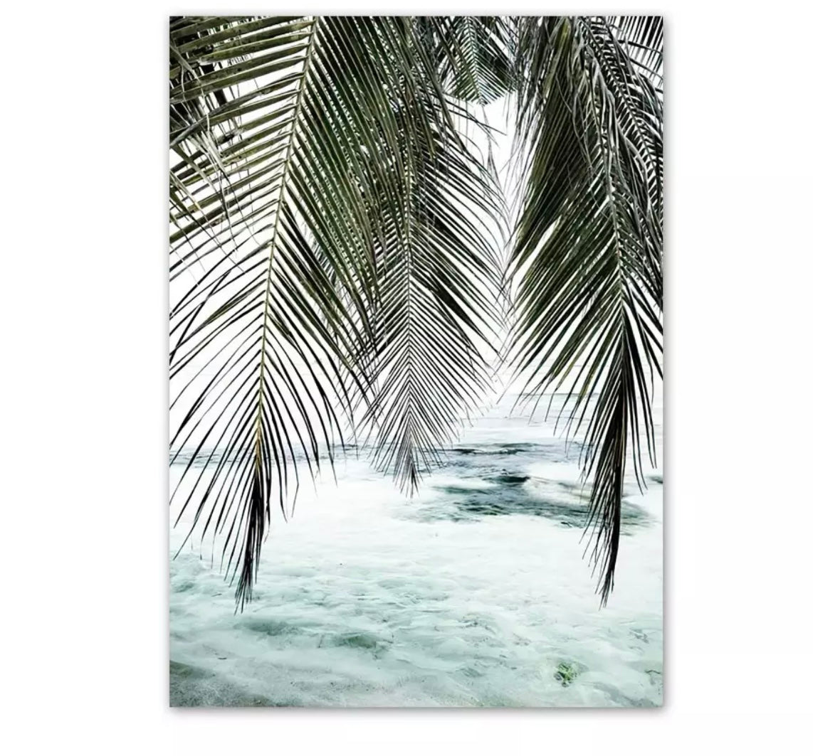 (HIRED) Framed - Beach Palms