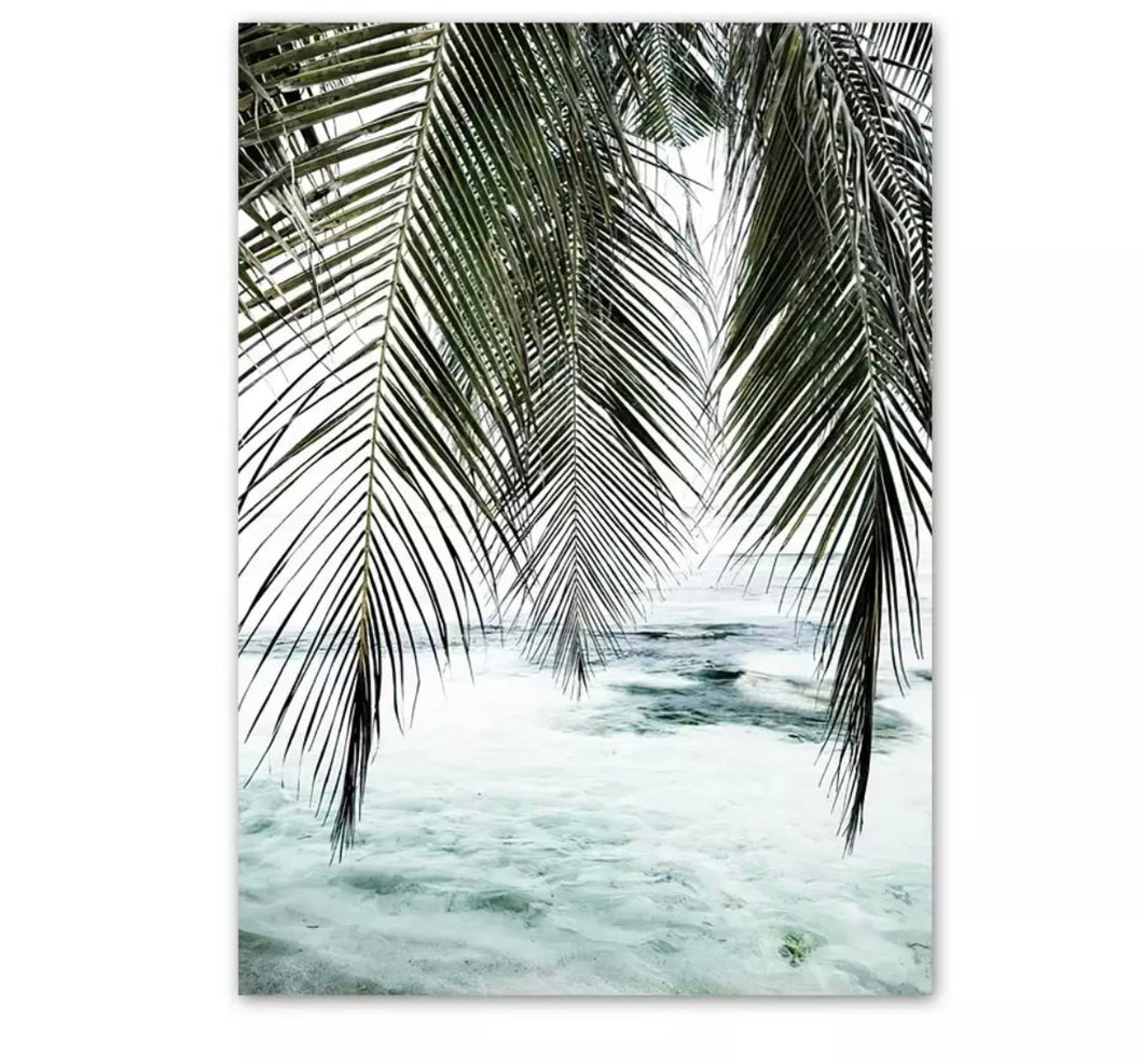 Framed - Beach Palms