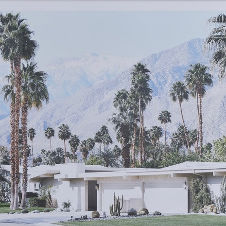 Framed Palm Springs House