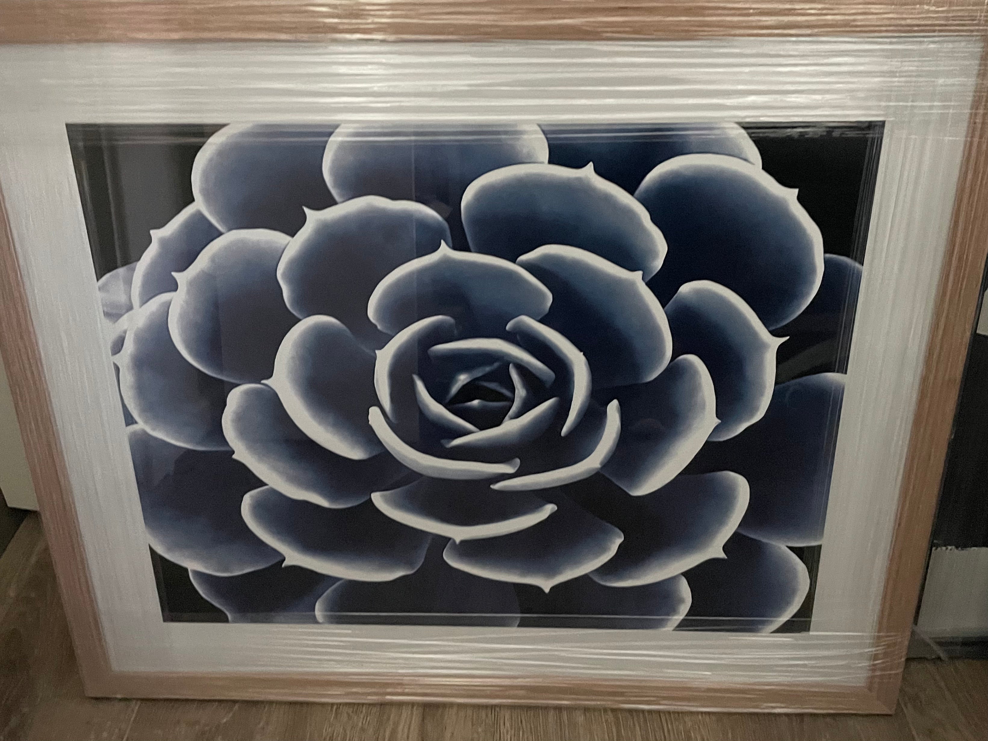 Framed - Succulent Indigo - Print B