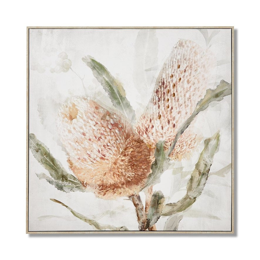 Framed Banksia  in Peach