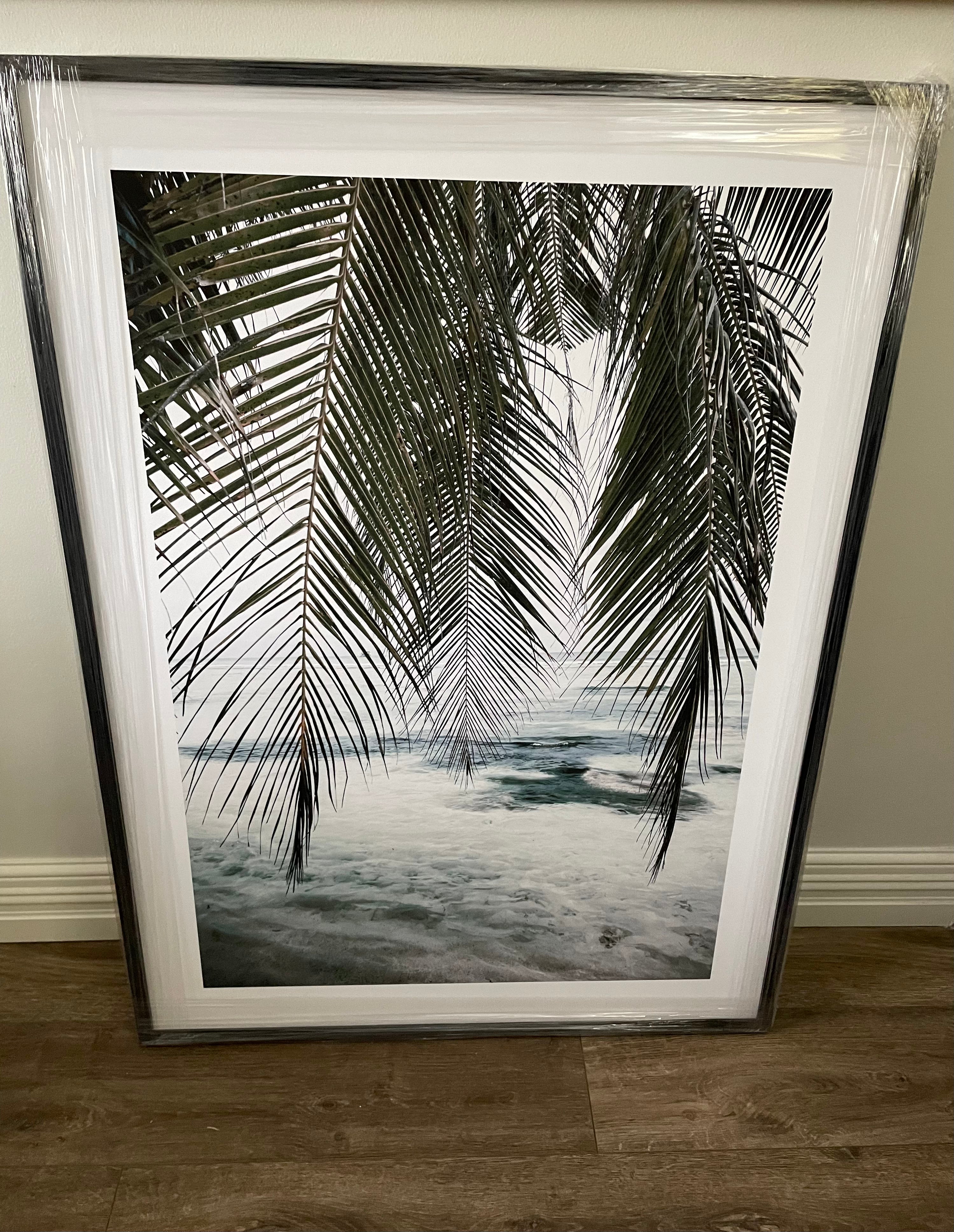 Framed - Beach Palms